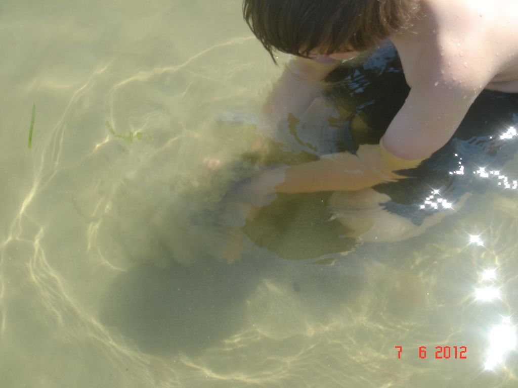 Gabicce Mare 2012 021